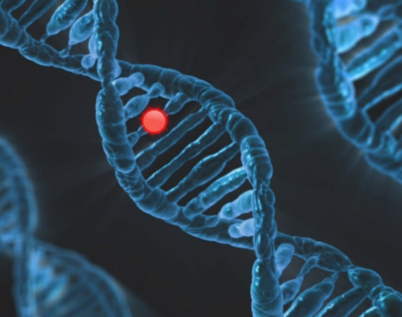 Genetically Engineered Humans